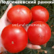 Подсинеевский ранний