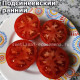 Подсинеевский ранний