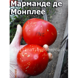 Marmande de Montpellier (Марманде де Монплеё)