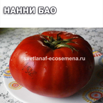 Nanni Bao (Нанни Бао)