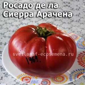Rosado de la Sierra Aracena (Розовый Сьерра Арачена)