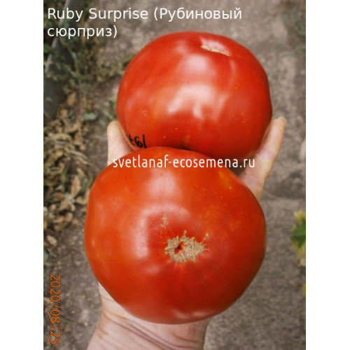 Ruby Surprise (Рубиновый сюрприз)