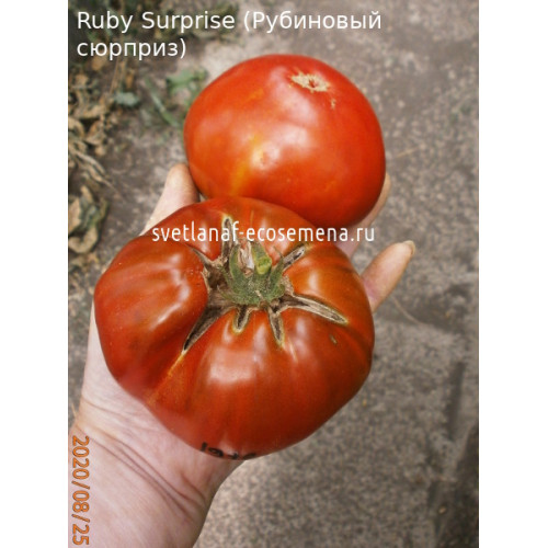 Ruby Surprise (Рубиновый сюрприз)