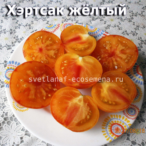 Hartsack Yellow (Хэртсак Желтый) 