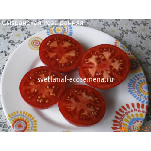 Сызранская Роза ранняя