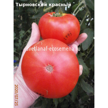Тырновский красный