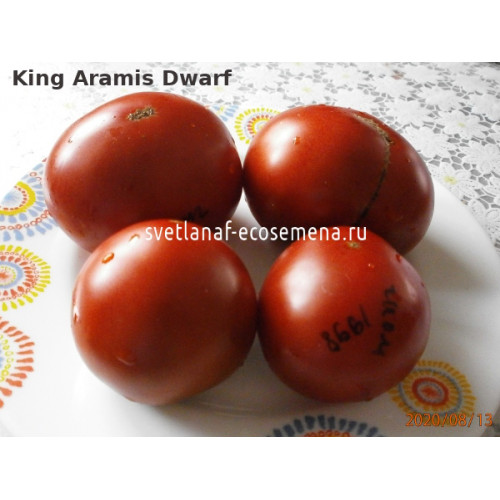 King Aramis Dwarf (Король Арамис)