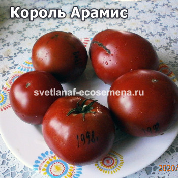King Aramis Dwarf (Король Арамис)