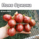 Orions Belt dwarf (Пояс Ориона)