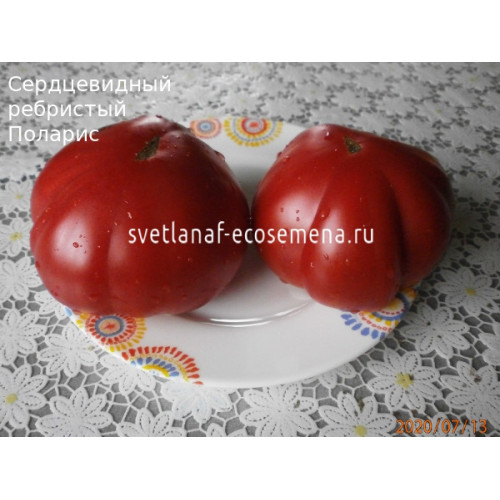 Сердцевидный ребристый Поларис