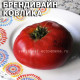 Брендивайн Ковлика Brandywine Covlik's strain