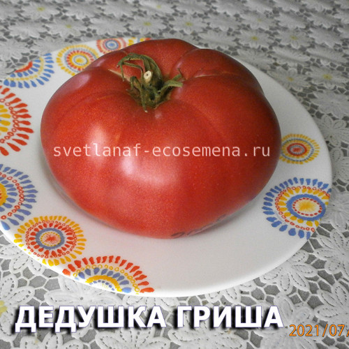 Дедушка Гриша