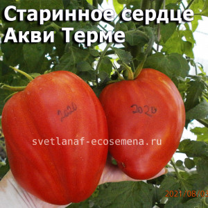 Cuore Antico di Acqui Terme  Старинное сердце Акви Терме