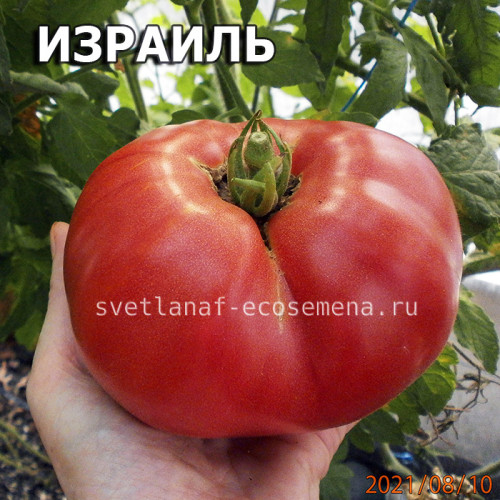 Israel Израиль