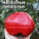 Malcolm Lincoln Малкольм Линкольн