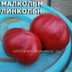 Malcolm Lincoln Малкольм Линкольн