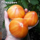 Помаранч Pomaranch