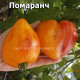 Помаранч Pomaranch