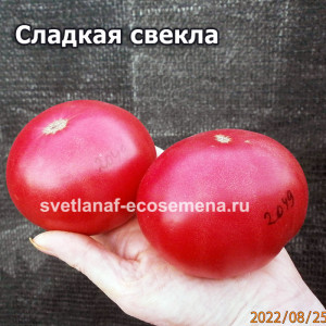 Dulcea de fagaras (Сладкая свекла)