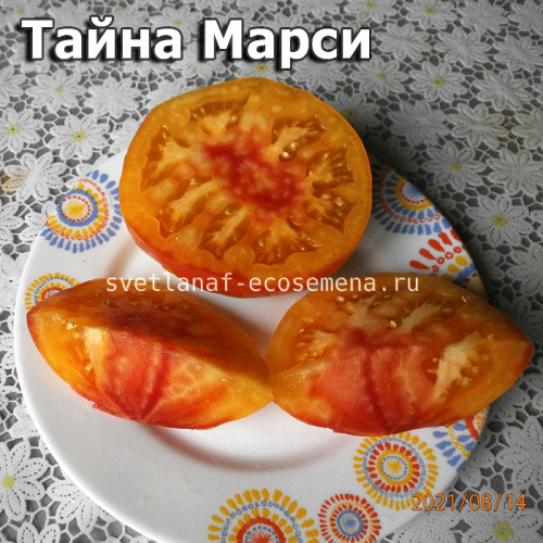 Тайна Марси Marcy’s Mystery