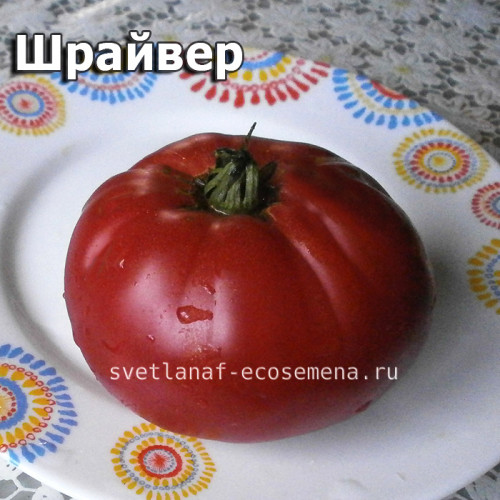 Shriver Шрайвер