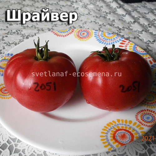 Shriver Шрайвер
