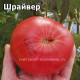 Shriver Шрайвер