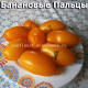 Dwarf  Banana Toes, гном Банановые Пальцы