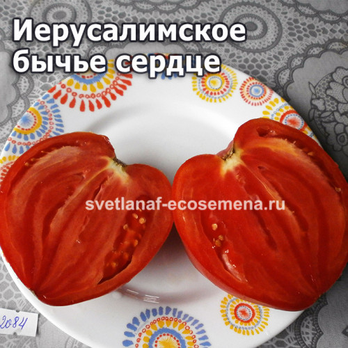 Иерусалимское бычье сердце (Coeur de Boeuf de Jerusalem)