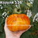 Козула 136, Kozula 136 (Big Flat Yellow)