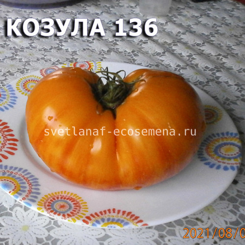 Козула 136, Kozula 136 (Big Flat Yellow)