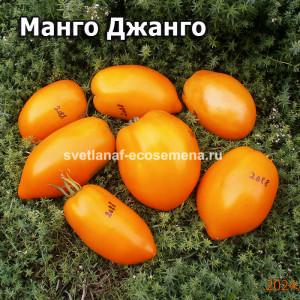 Манго Джанго