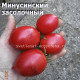 Минусинский засолочный