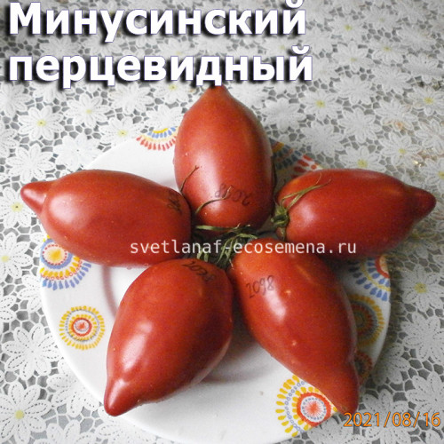Минусинский перцевидный