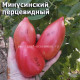 Минусинский перцевидный