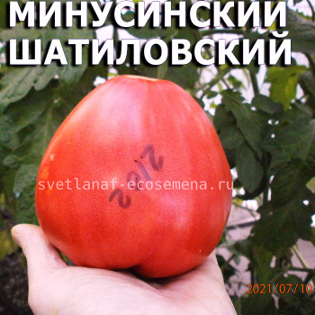 Минусинский Шатиловский