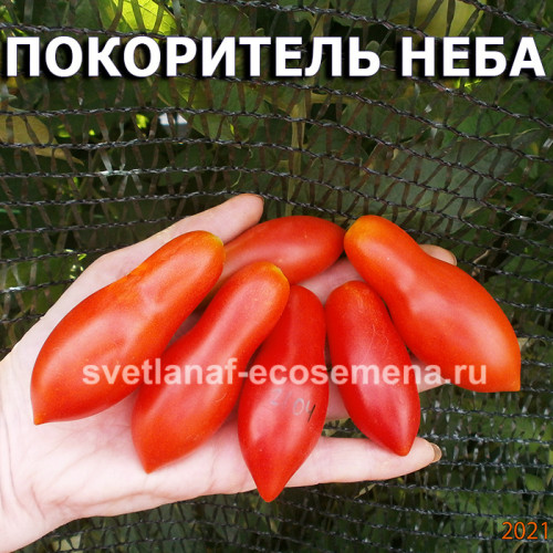 Покоритель неба, Himmelsturmer 