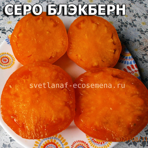 Cеро Блэкберн Cero Blackburn