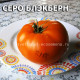 Cеро Блэкберн Cero Blackburn