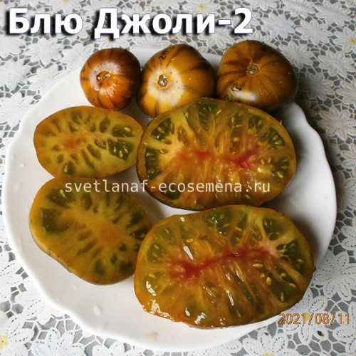 Blue Jollies striped (Синий Джоли полосатый)