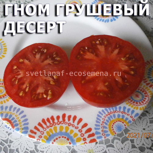 Гном грушевый десерт Sturt desert pea