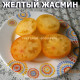 Желтый Жасмин dwarf Jasmine yellow