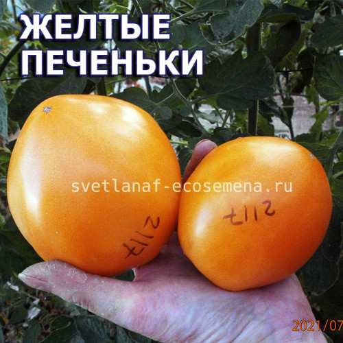Желтые печеньки Yellow cookies