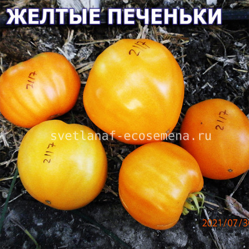 Желтые печеньки Yellow cookies