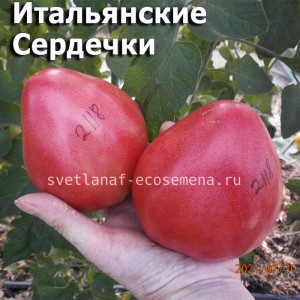 Итальянские Сердечки