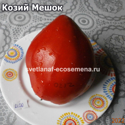 Козий Мешок (Goat Bag)
