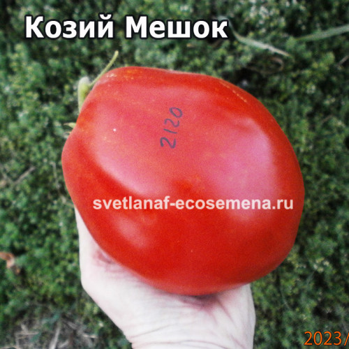 Козий Мешок (Goat Bag)