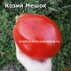 Козий Мешок (Goat Bag)