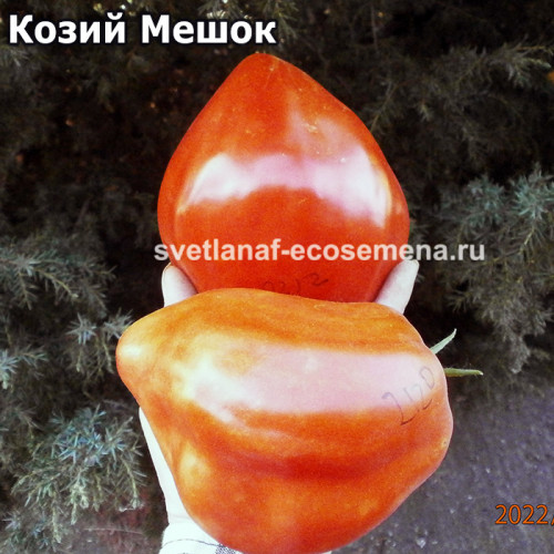 Козий Мешок (Goat Bag)