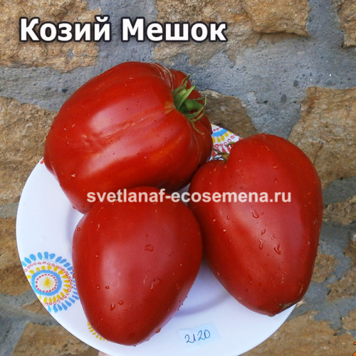Козий Мешок (Goat Bag)